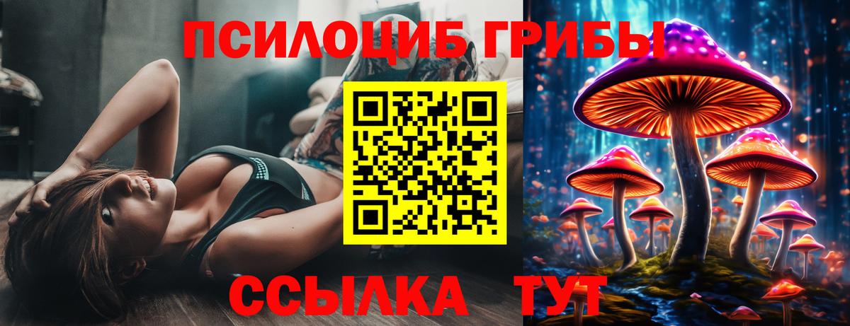 Галлюциногенные грибы мицелий Выборг