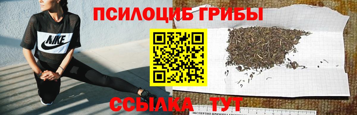 Галлюциногенные грибы прущие грибы  Псилоцибиновые грибы GOLDEN TEACHER  купить   Выборг  Вход с VPN 