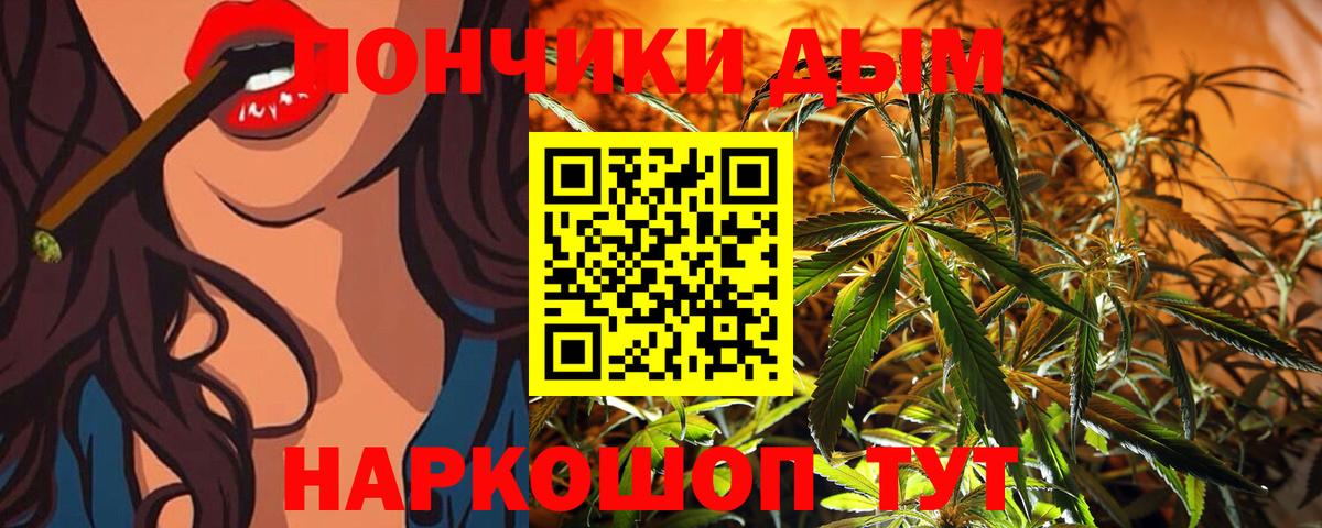 Конопля ГИДРОПОН  Канабис Amnesia  Выборг  Марихуана конопля  Вход с VPN 